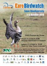"European birdwatch": ammirare la migrazione autunnale nelle oasi e riserve lipu